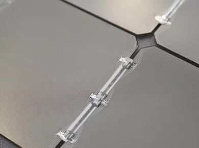 Maxeon Cell Image_detail_HiRes_square